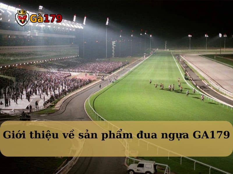 Giới thiệu về sản phẩm đua ngựa GA179